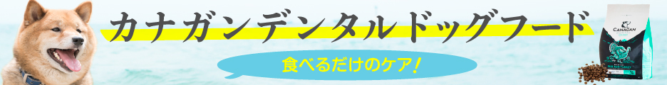 カナガンデンタルドッグフード