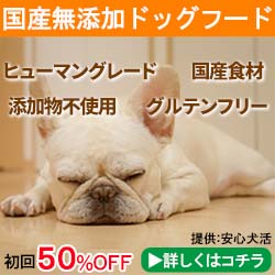 安心犬活