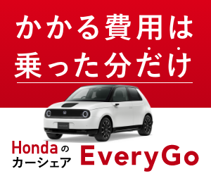 Honda EveryGo