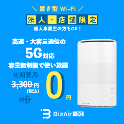 BizAir（ビズエアー）