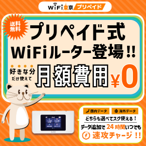 WiFivyCh