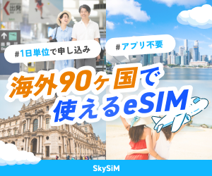 SkySiM(スカイシム)